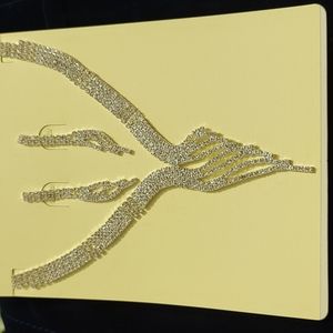 Stunning necklace/earring set. NWOT.